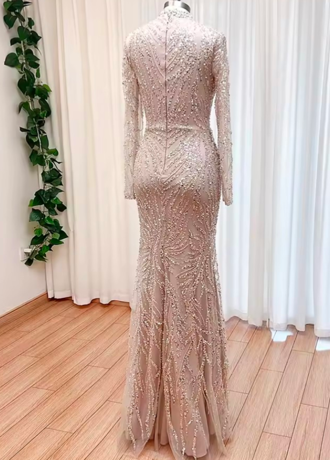 Zeyari Crystal Gown
